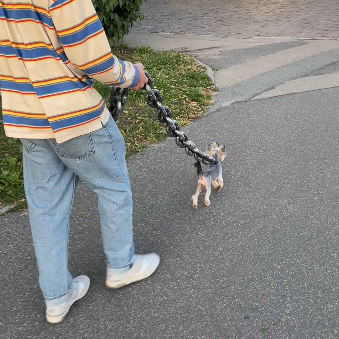 The Pup Chain